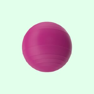 Fitness Ball Purple